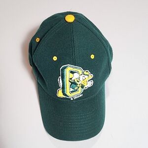 Vintage Zephyr Oregon Duck Disney Hat 7 1/4